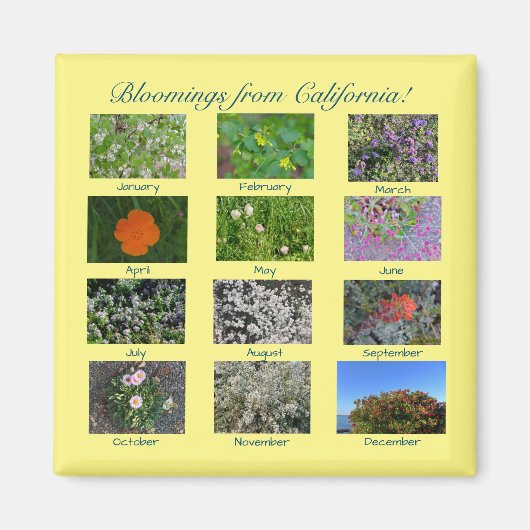 Bloemingen uit Californië! magneet (Voorkant)