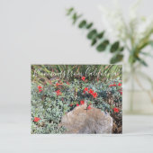 Bloemingen uit Californië: Wayne's Silver Fuchsia Briefkaart (Staand voorkant)