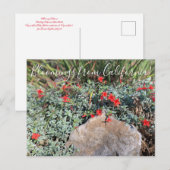 Bloemingen uit Californië: Wayne's Silver Fuchsia Briefkaart (Voorkant / Achterkant)