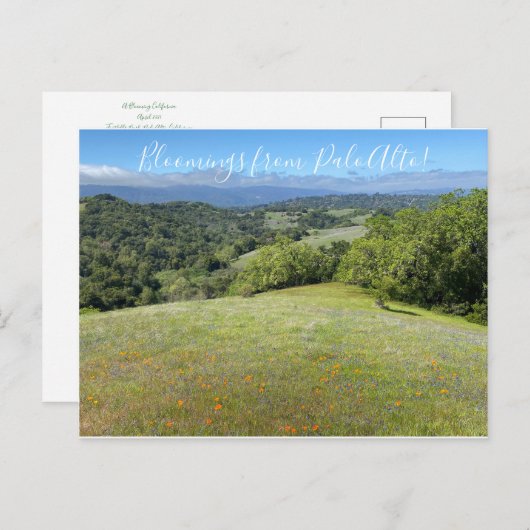 Bloemingen uit Palo Alto! Briefkaart (Voorkant / Achterkant)