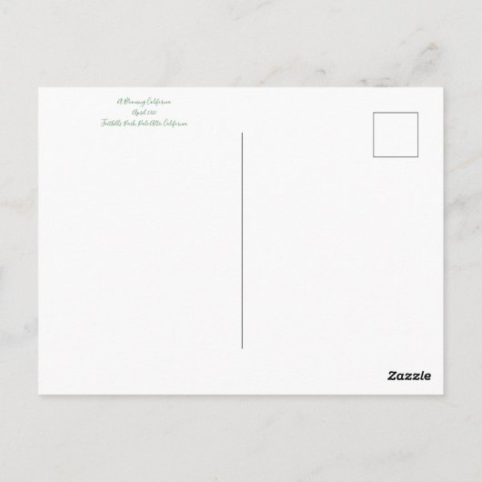 Bloemingen uit Palo Alto! Briefkaart (Achterkant)