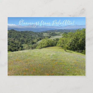 Bloemingen uit Palo Alto! Briefkaart