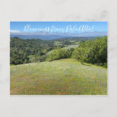 Bloemingen uit Palo Alto! Briefkaart (Voorkant)