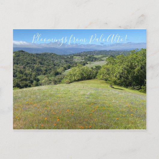 Bloemingen uit Palo Alto! Briefkaart (Voorkant)
