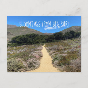 Bloemingen van Big Sur! Briefkaart
