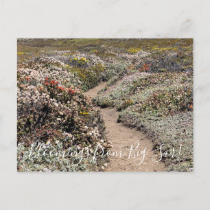 Bloemingen van Big Sur! Briefkaart