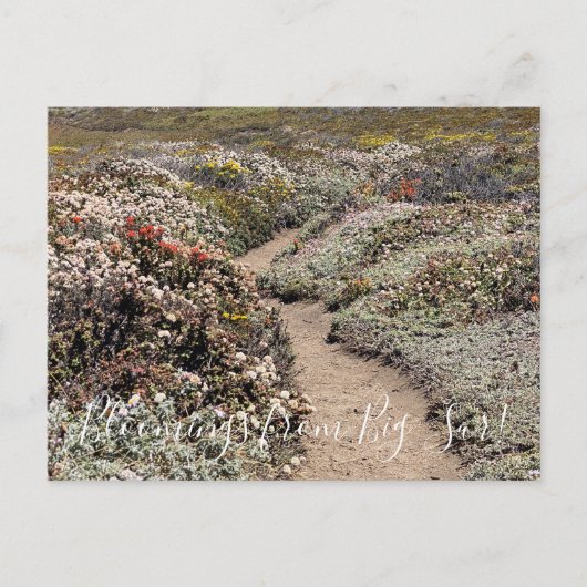 Bloemingen van Big Sur! Briefkaart (Voorkant)