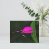 Bloemkaart Briefkaart (Staand voorkant)
