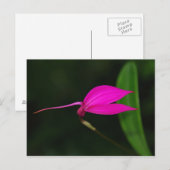 Bloemkaart Briefkaart (Voorkant / Achterkant)