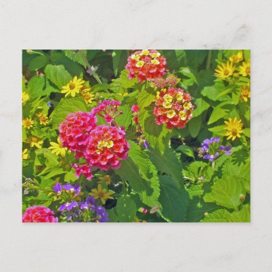 Bloemkaart Briefkaart (Voorkant)