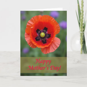 Bloemkaart met scharlaken bloesem kaart