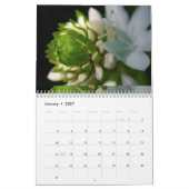 Bloemkalander Kalender (Jan 2027)