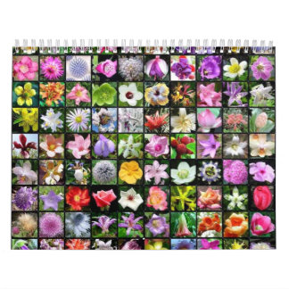 Bloemkalender 2 kalender