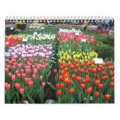 Bloemkalender 8 kalender (Hoes)