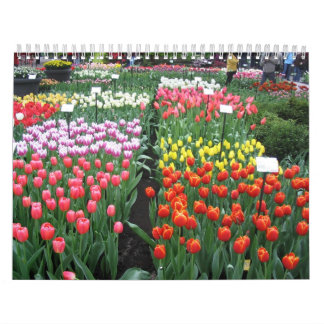 Bloemkalender 8 kalender