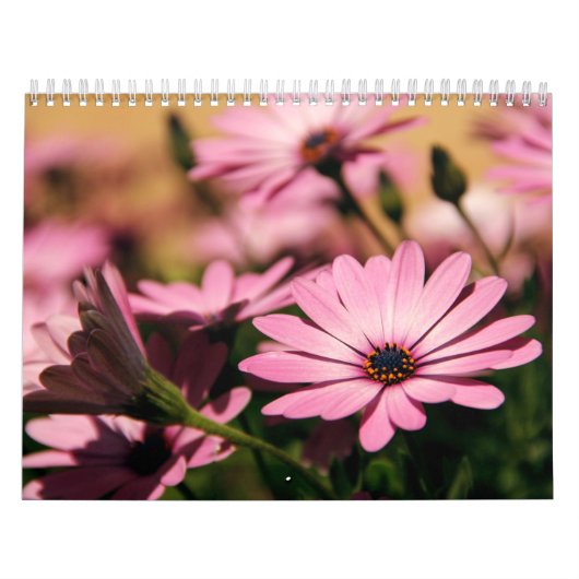 Bloemkalender Kalender (Hoes)