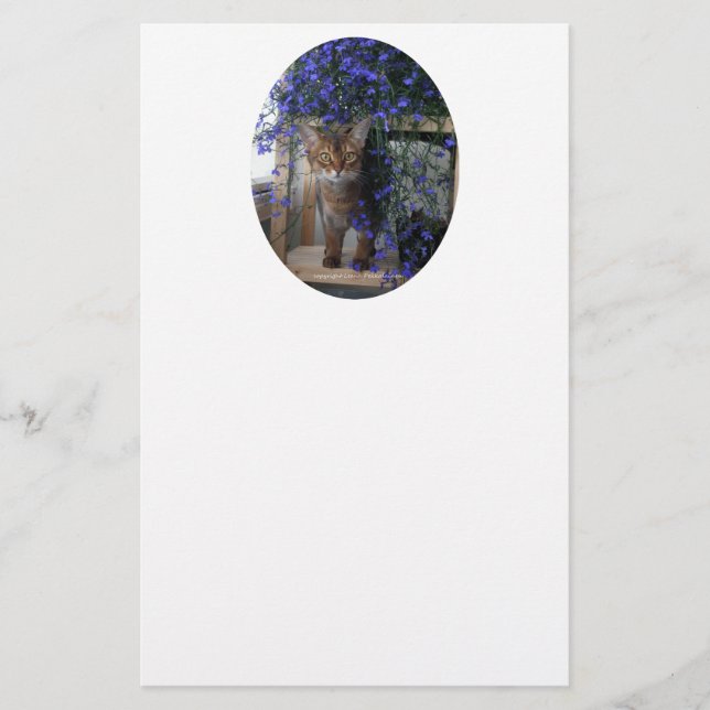 Bloemkat Ovaal (Voorkant)