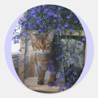 Bloemkat (ovaal) ronde sticker