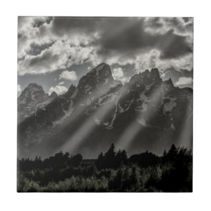 Bloemkathedgroep Tegeltje