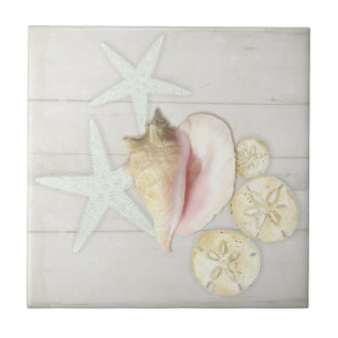 Bloemkatoenvis Sanddollar conch Shell Wood Tegeltje