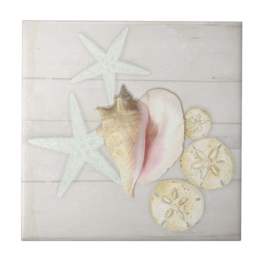 Bloemkatoenvis Sanddollar conch Shell Wood Tegeltje (Voorkant)