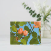 bloemknoppen ansichtkaart briefkaart (Staand voorkant)