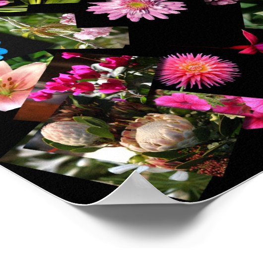 bloemkolg poster (Hoek)