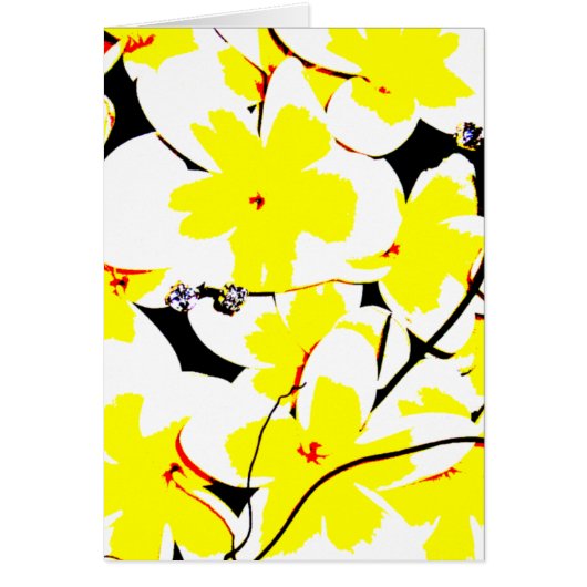 bloemkool (Voorkant)