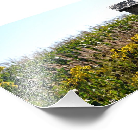 Bloemkool Foto Afdruk (Hoek)