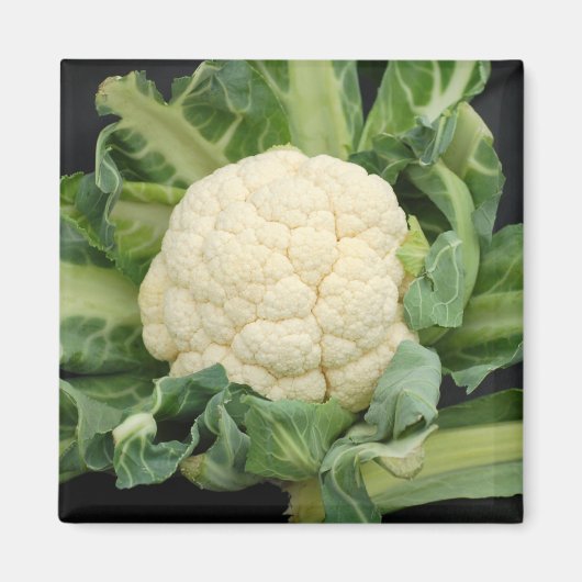 Bloemkool magneet (Voorkant)