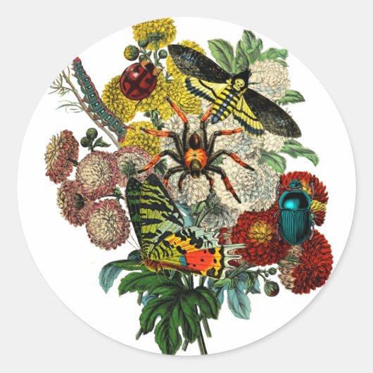 Bloemkool met buik veranderde  kunst ronde sticker (Voorkant)