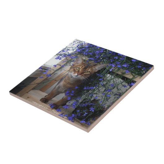 Bloemkool Tegeltje (Zijkant)