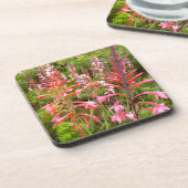 Bloemkool van het oostelijk deel van Kaapje Drankjes Onderzetter (Linkerzijde)