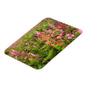 Bloemkool van het oostelijk deel van Kaapje Magneet (Linkerzijde)