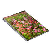 Bloemkool van het oostelijk deel van Kaapje Notitieboek (Rechterzijde)