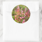 Bloemkool van het oostelijk deel van Kaapje Ronde Sticker (Tas)