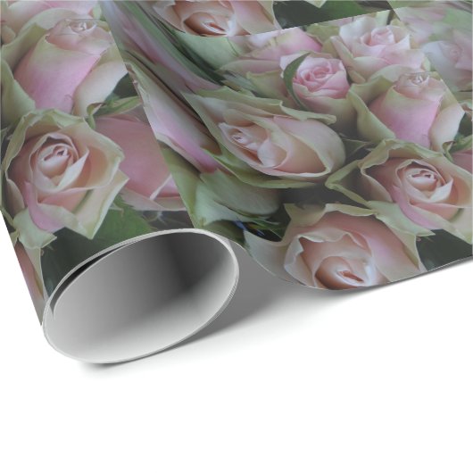 Bloemkool van roze groene Rozen Cadeaupapier (Rol Hoek)
