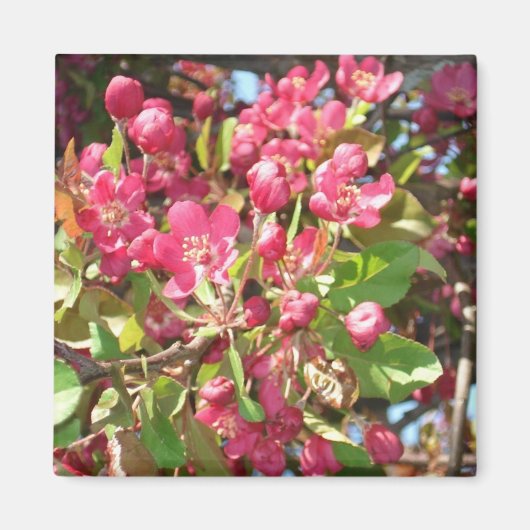 Bloemkrab1 magneet (Voorkant)