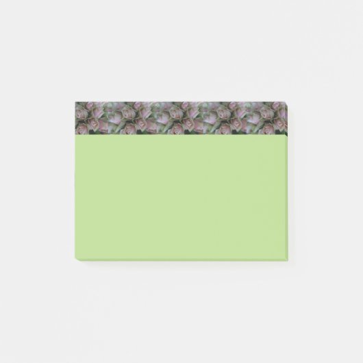 Bloemliefhebbers Roze Spring Green Post merkt op Post-it® Notes (Voorkant)