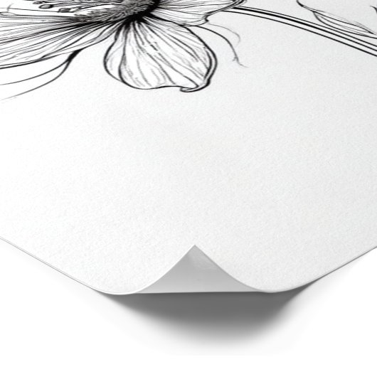 Bloemlijntekening in zwart en wit poster (Hoek)