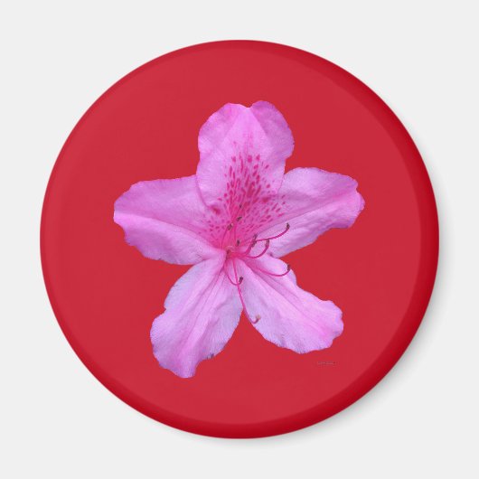 Bloemmagneet Magneet (Voorkant)