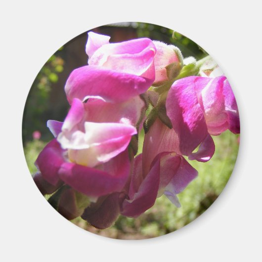 Bloemmagneet Magneet (Voorkant)