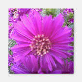 Bloemmagneet Magneet (Voorkant)