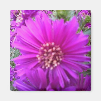 Bloemmagneet Magneet