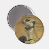 Bloemmagneet Magneet (Voorkant / Achterkant)