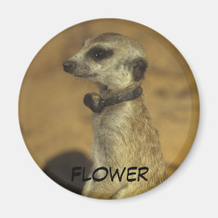 Bloemmagneet Magneet