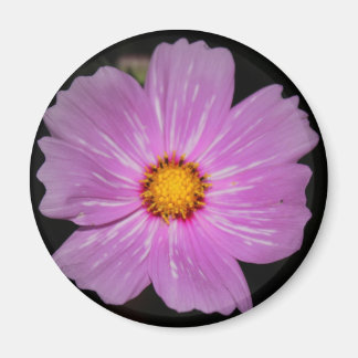 Bloemmagneet Magneet