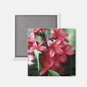 Bloemmagneet Magneet (Voorkant / Achterkant)