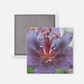 Bloemmagneet Magneet (Voorkant / Achterkant)