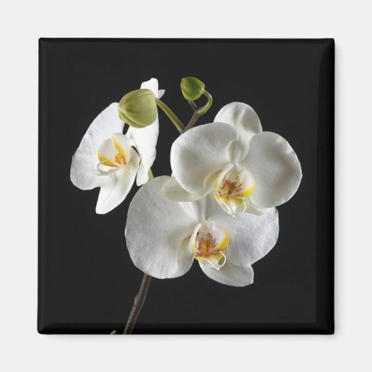 Bloemmagneet Magneet (Voorkant)